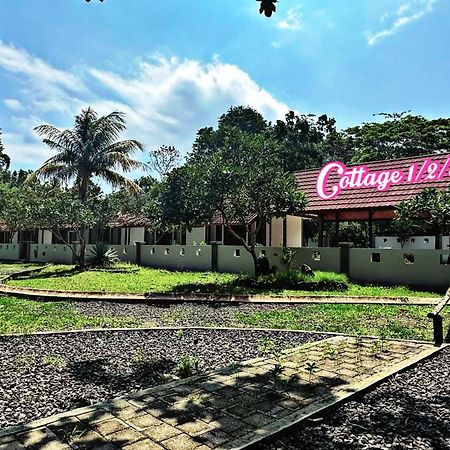 G Beach Hotel Grajagan Exterior photo